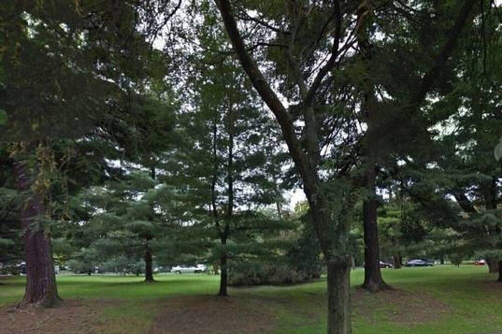 Photo of Outdoor in Albany