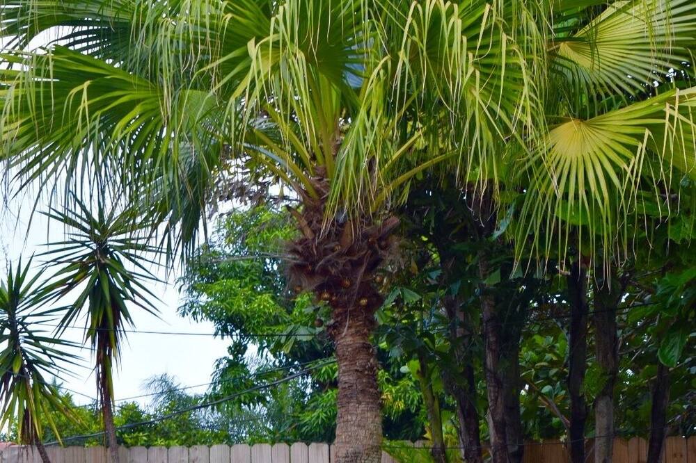 Photo of Outdoor in Deerfield Beach