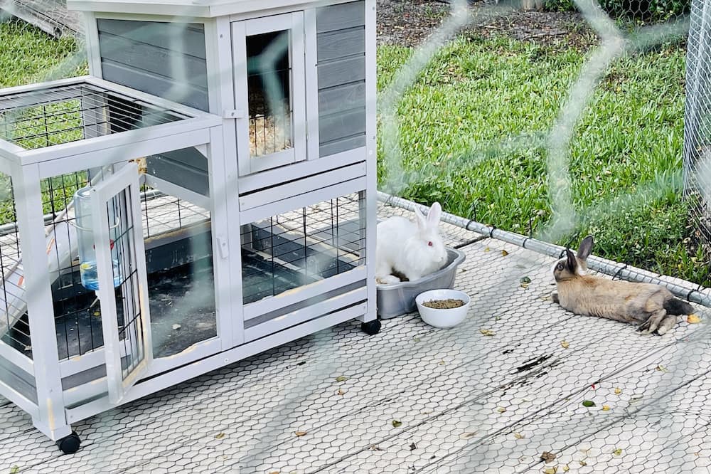 Photo of Patio Balcony in Davie