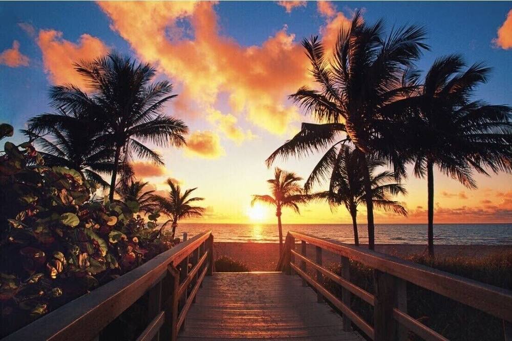 Photo of Others in Davie