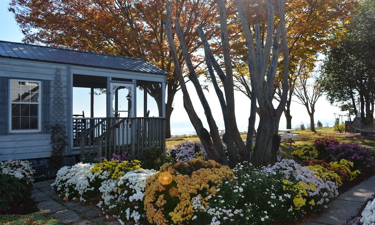 Photo of Outdoor in Tilghman