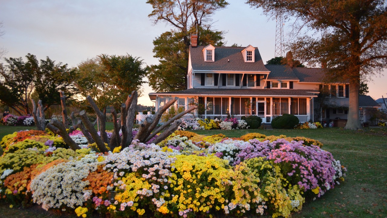 Photo of Outdoor in Tilghman