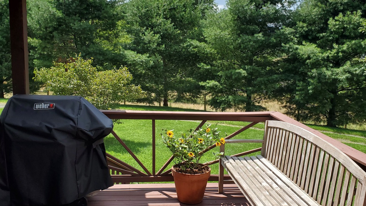 Photo of Outdoor in Blue Grass