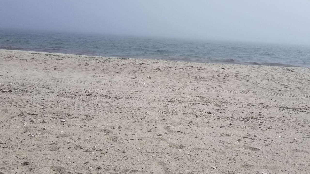 Photo of Others in Yarmouth Port