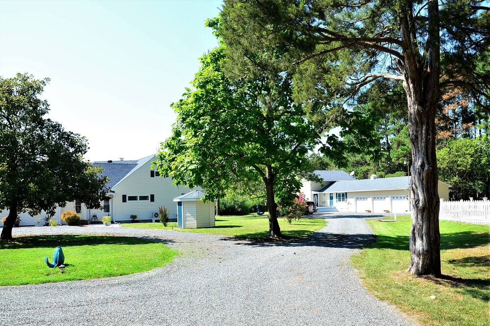 Photo of Outdoor in Cambridge