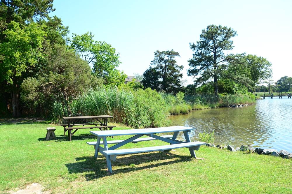 Photo of Outdoor in Cambridge