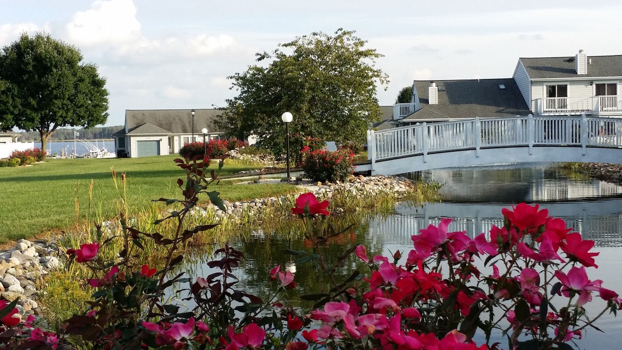 Photo of Outdoor in Millsboro