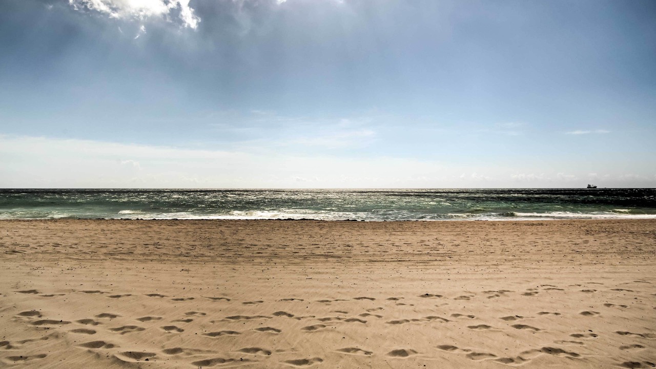 Photo of Others in Barrier Island