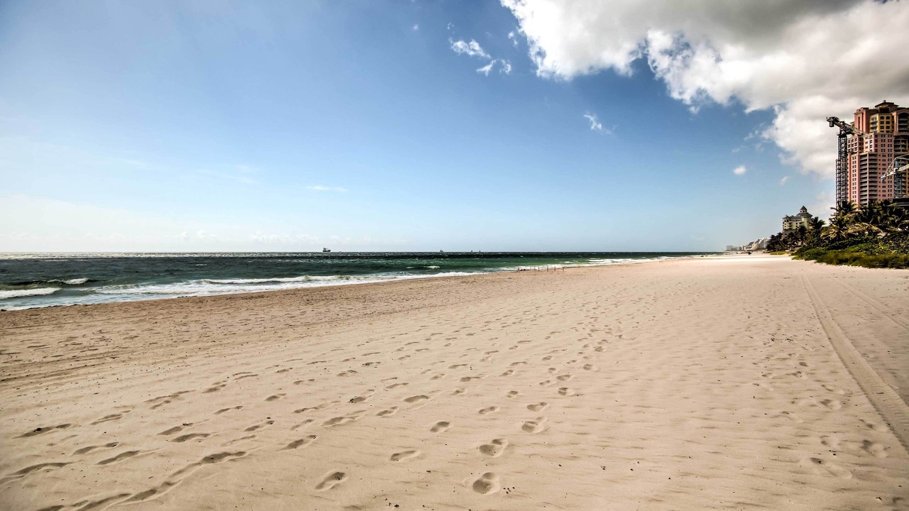 Photo of Others in Barrier Island