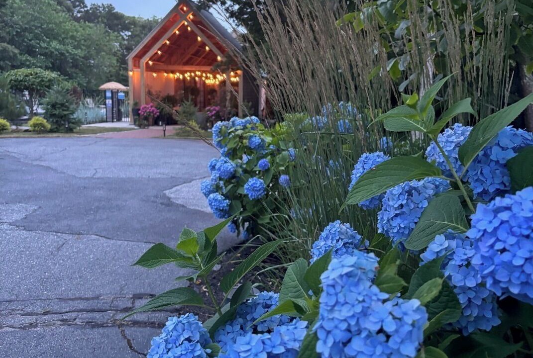 Photo of Outdoor in South Yarmouth