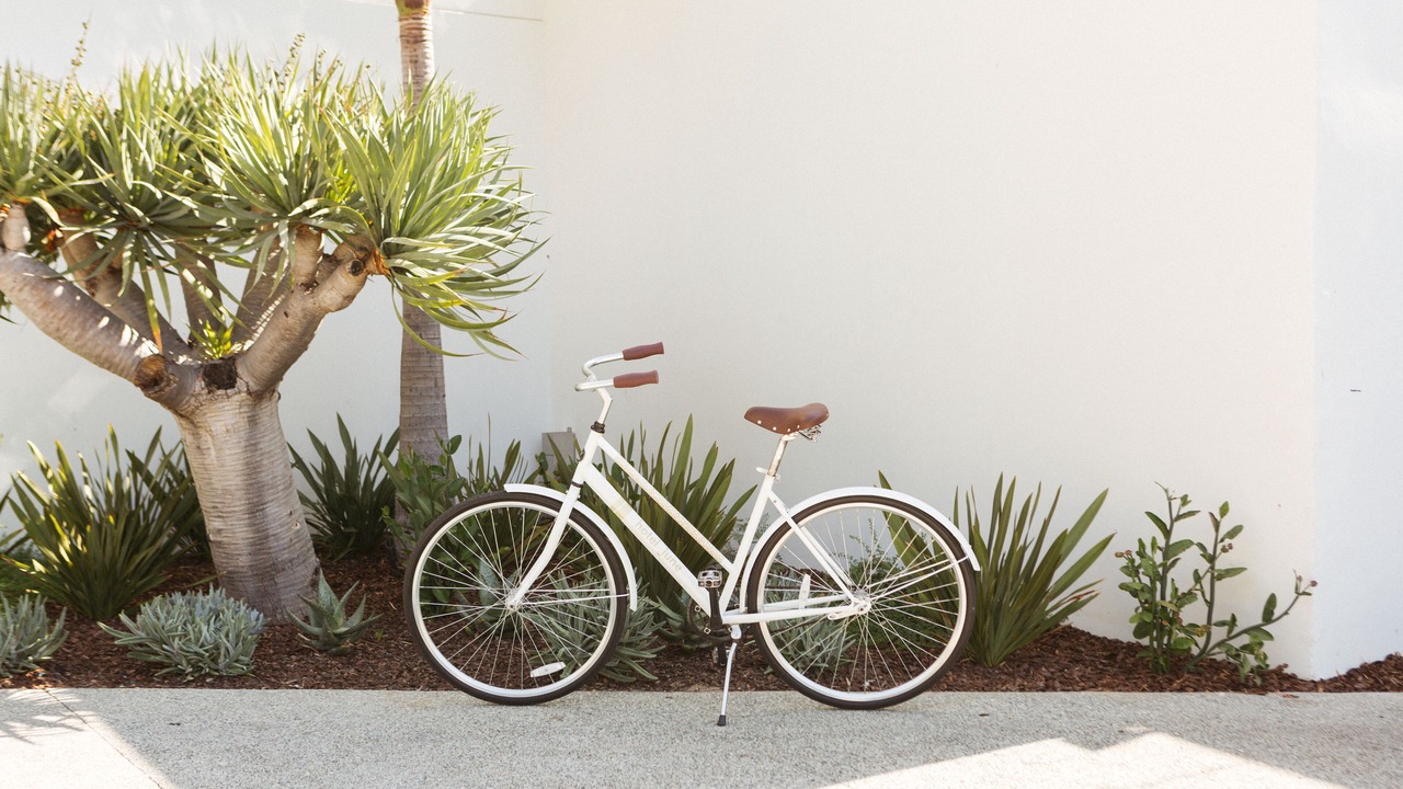 Photo of Outdoor in Los Angeles