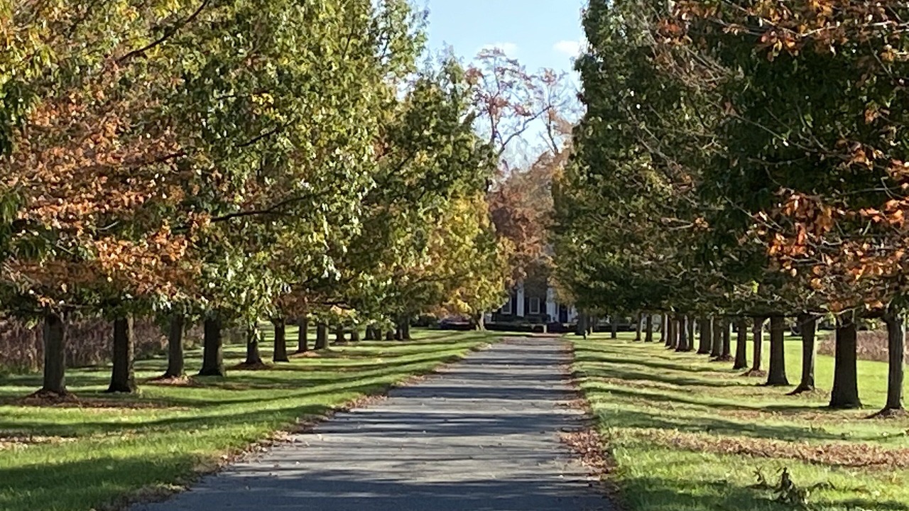Photo of Outdoor in Milford