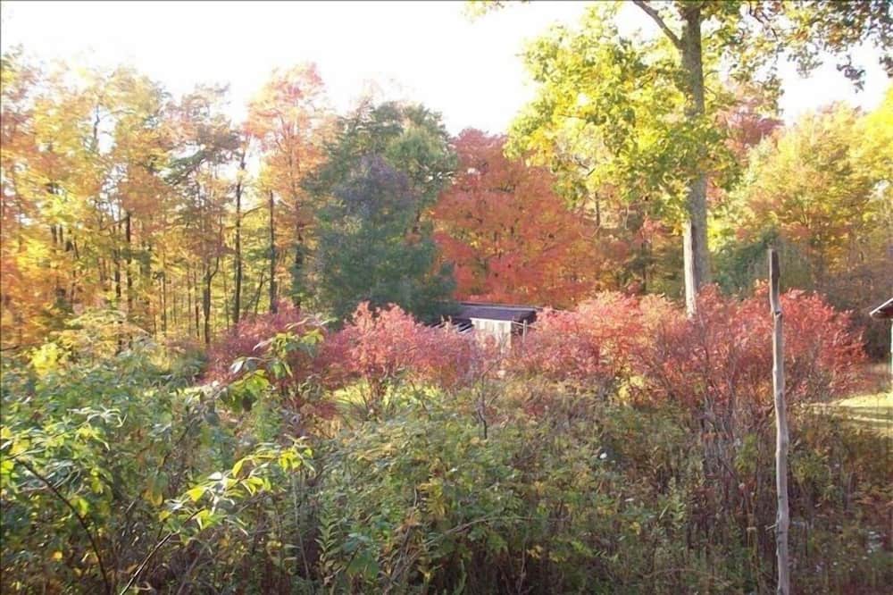 Photo of Outdoor in Northern