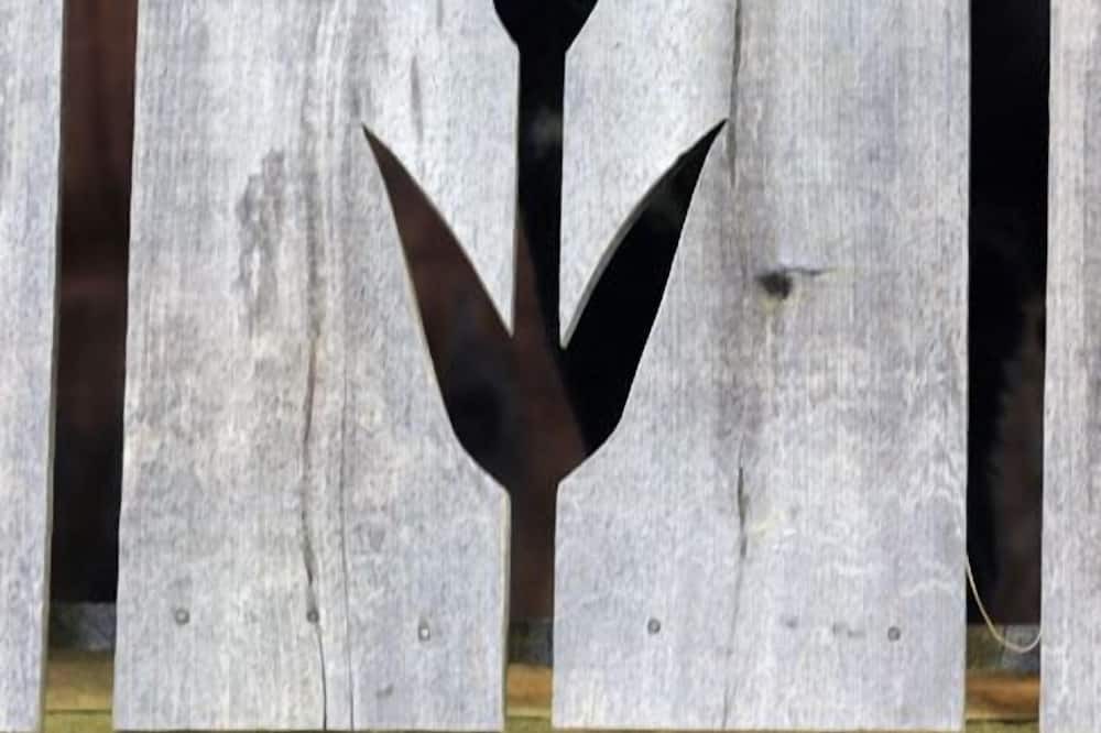 Photo of Others in Northern
