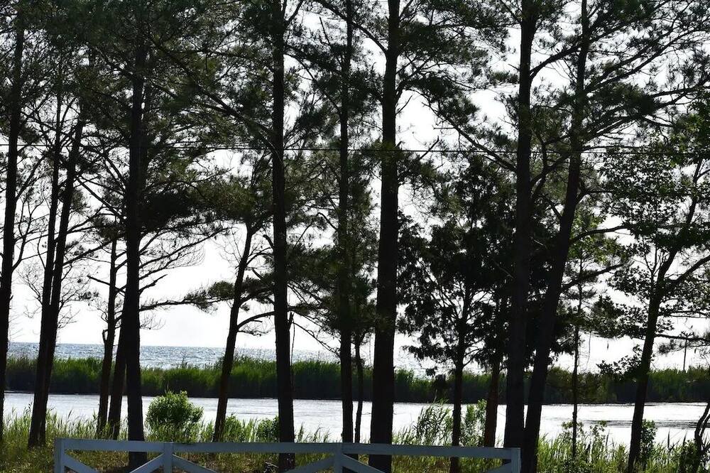 Photo of Others in Point Lookout