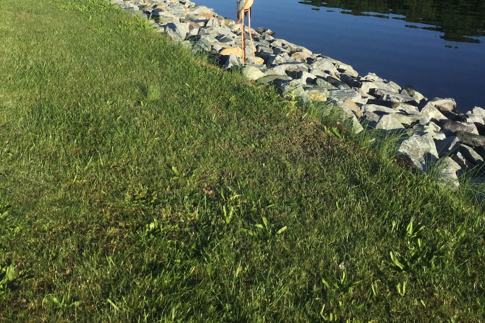 Photo of Others in Assateague Pointe