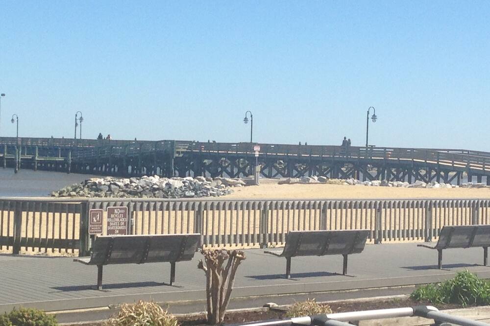 Photo of Others in Rose Haven
