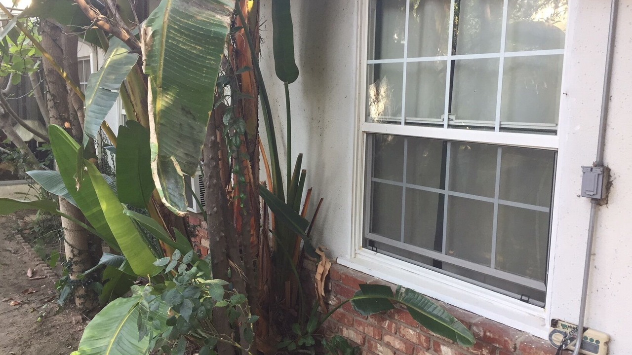 Photo of Outdoor in The Flats