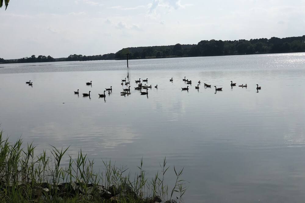 Photo of Others in Wittman