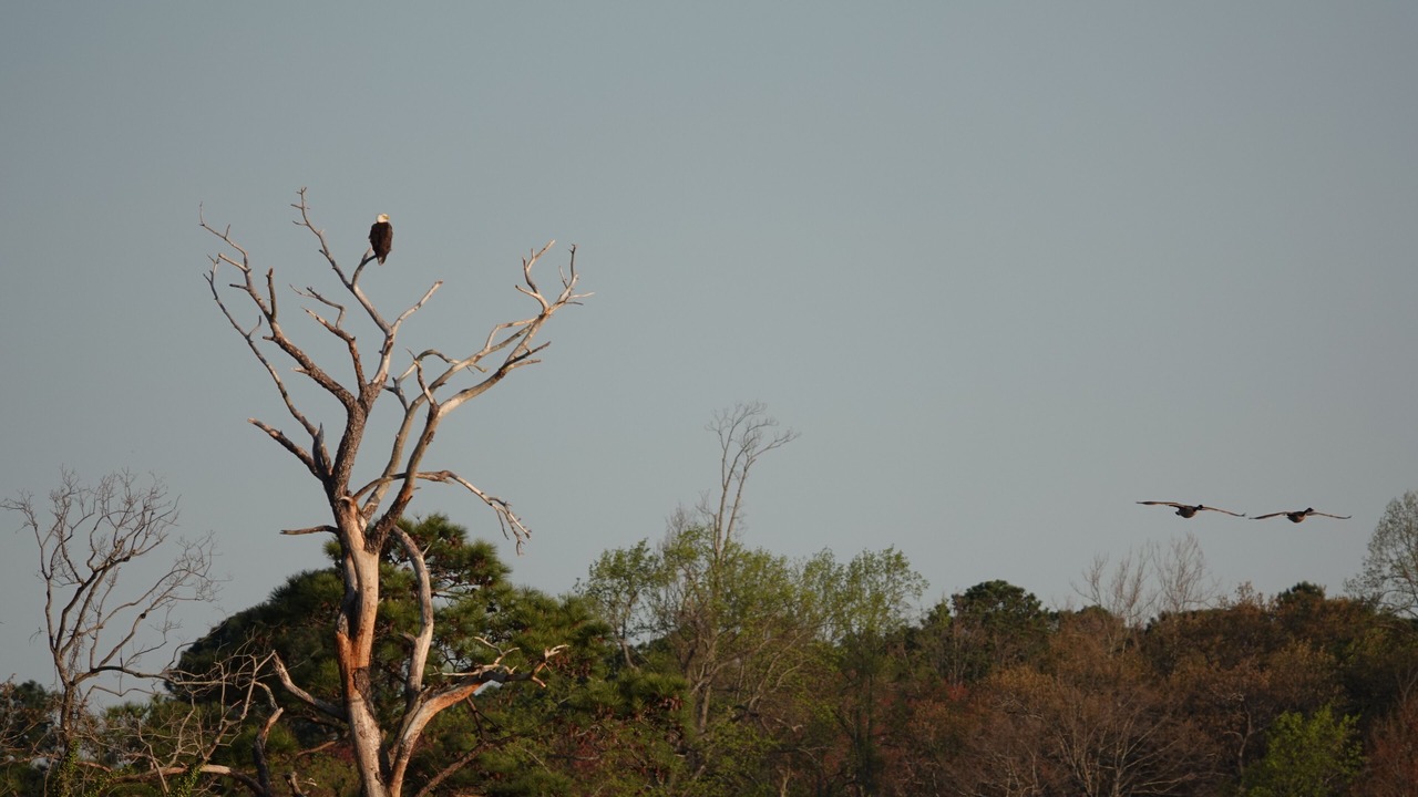 Photo of Others in Saluda