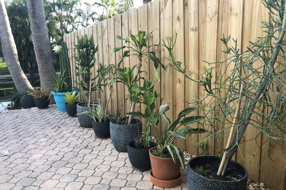 Photo of Outdoor in Fort Lauderdale