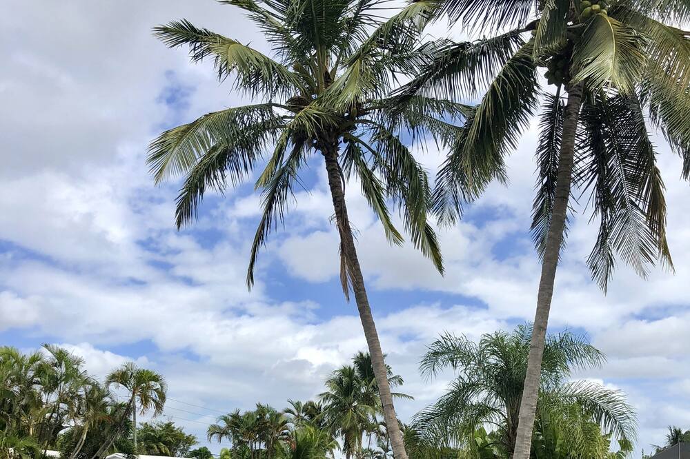 Photo of Others in Fort Lauderdale