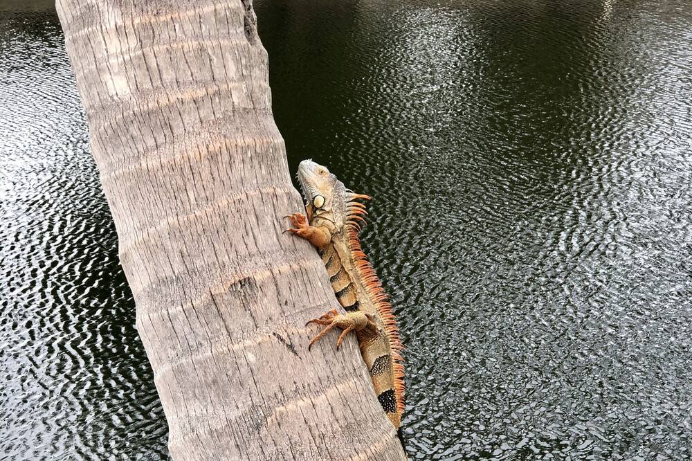 Photo of Others in Fort Lauderdale