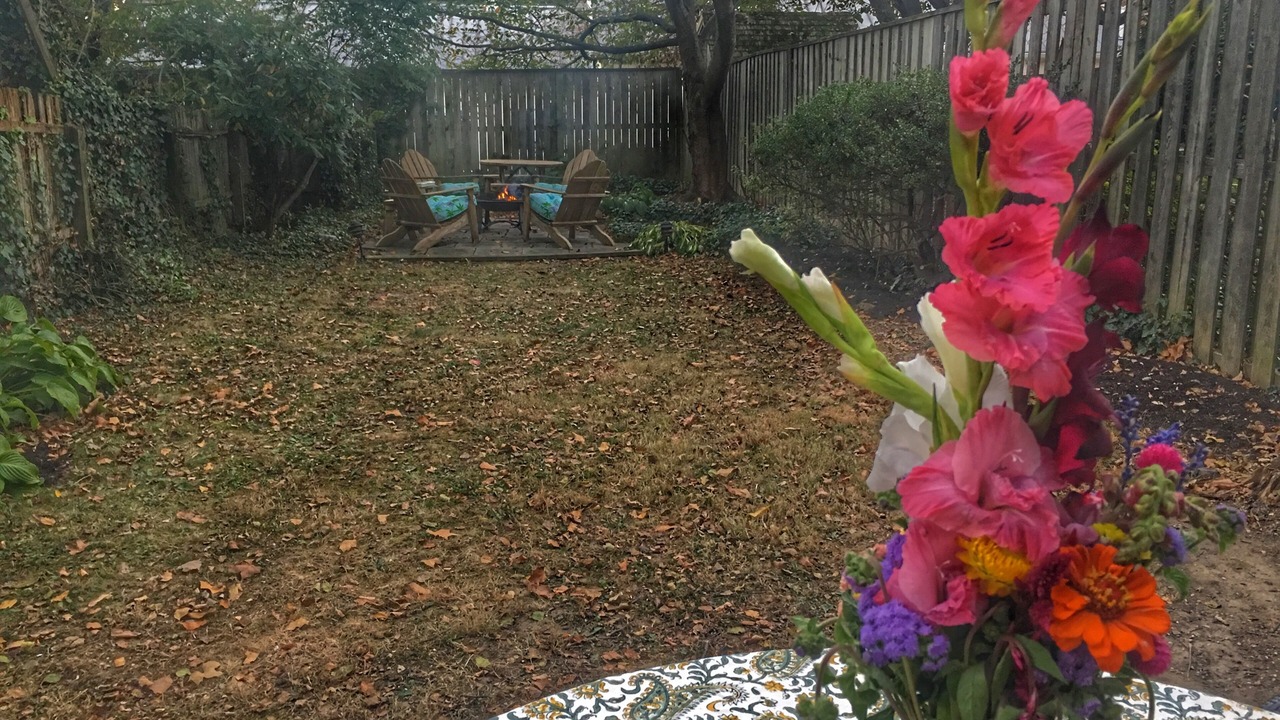 Photo of Outdoor in Chestertown