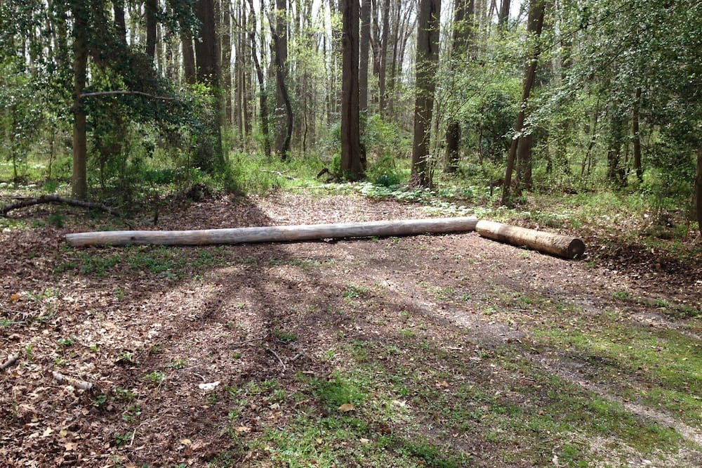 Photo of Outdoor in Little Creek