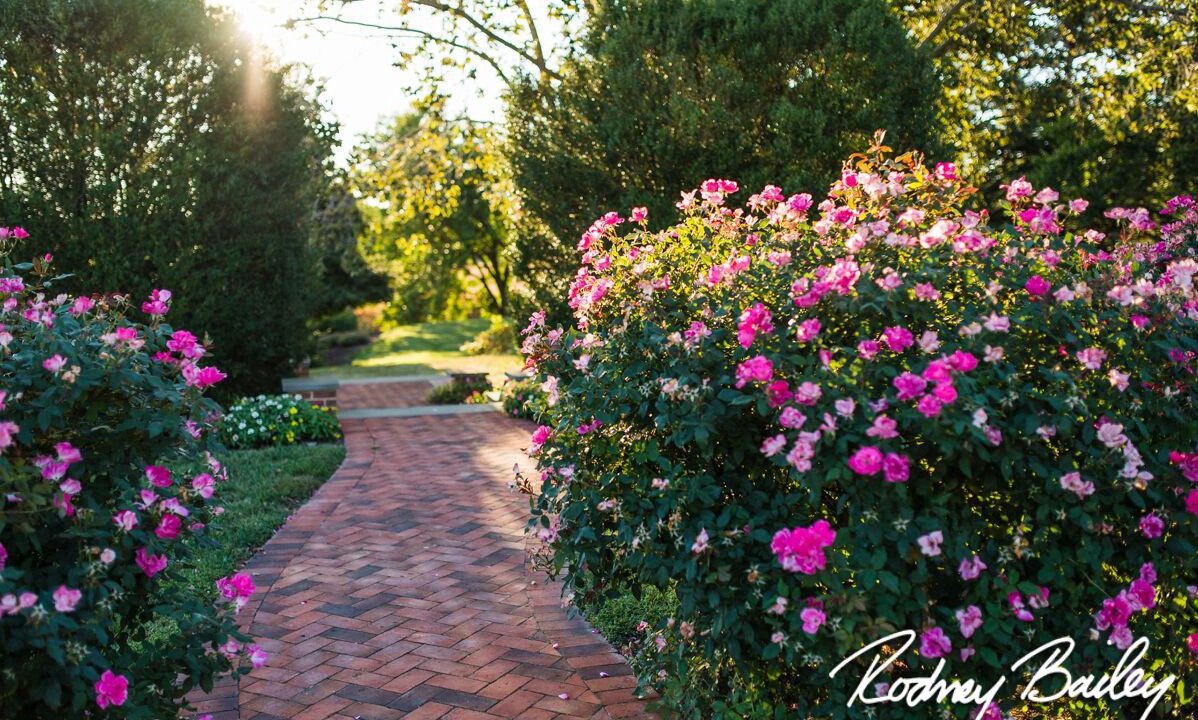 Photo of Outdoor in Chestertown