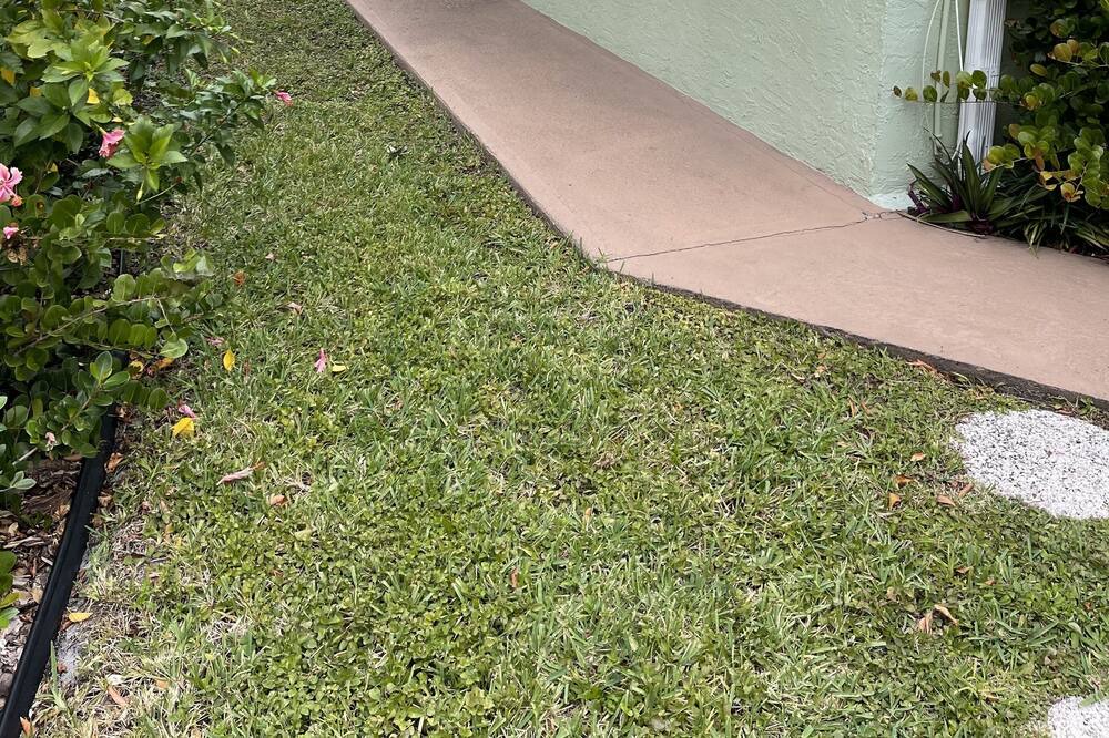 Photo of Outdoor in Croissant Park