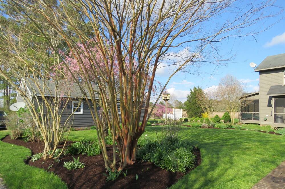 Photo of Outdoor in Whitehaven