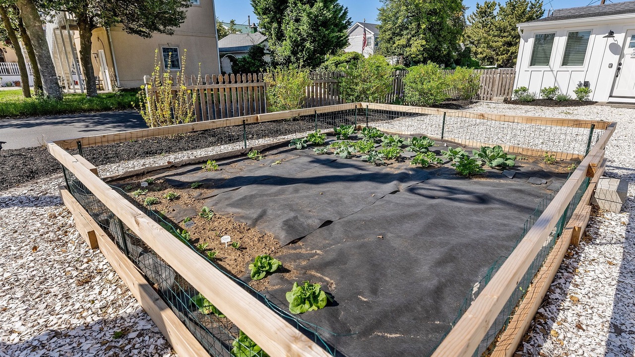 Photo of Outdoor in Villas