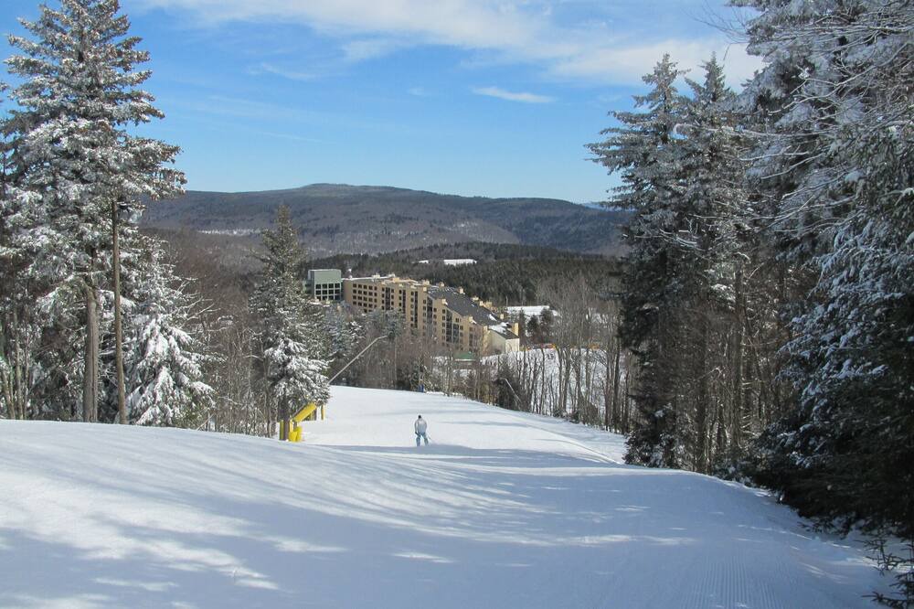 Photo of Others in Snowshoe