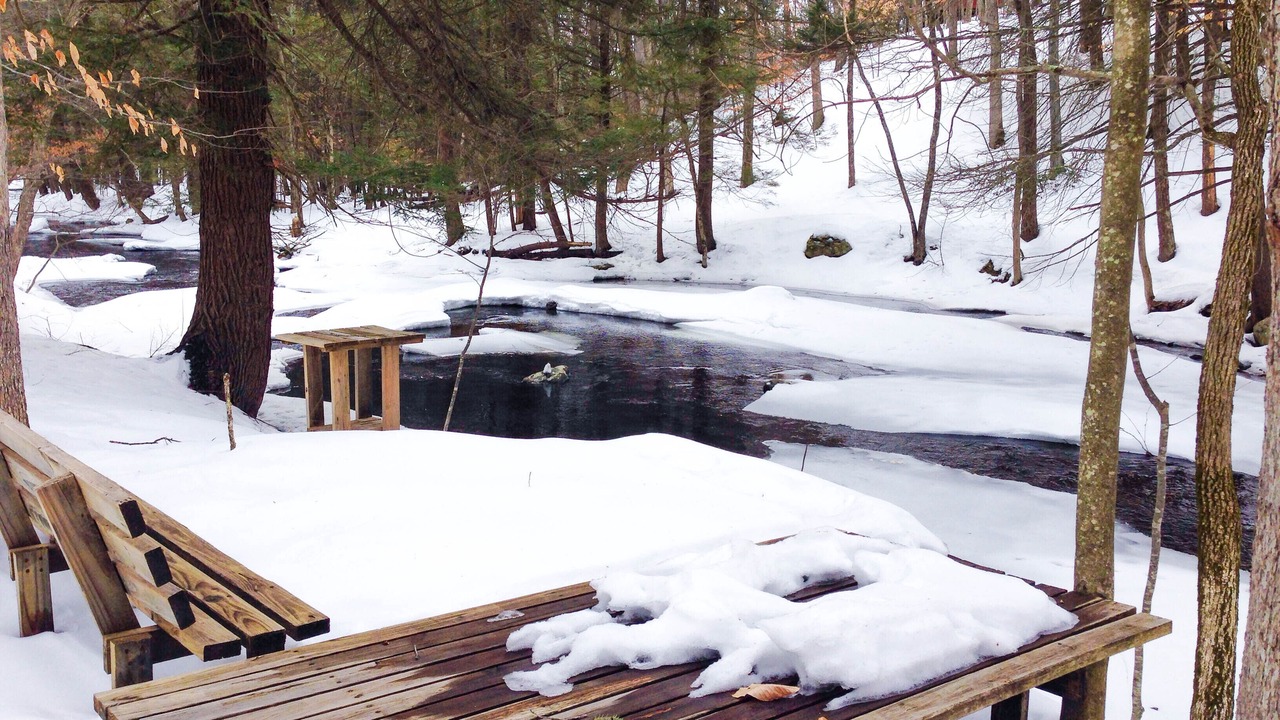 Photo of Outdoor in Bushkill