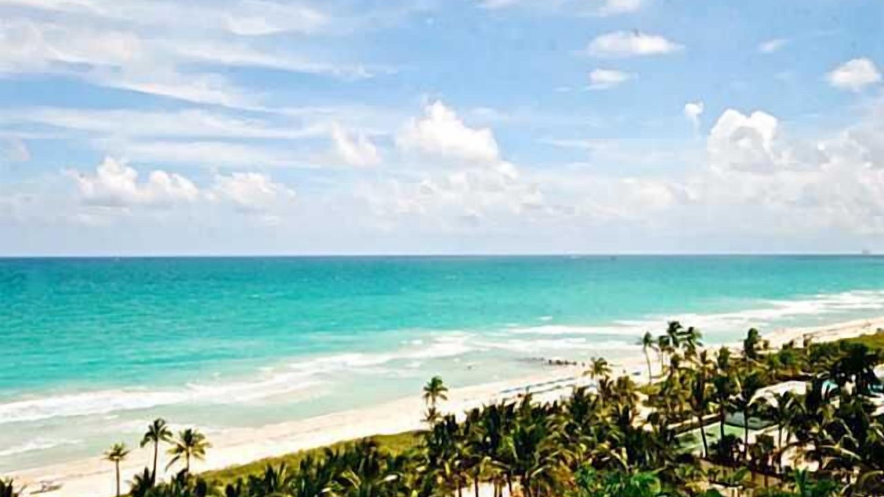 Photo of Others in Bal Harbour