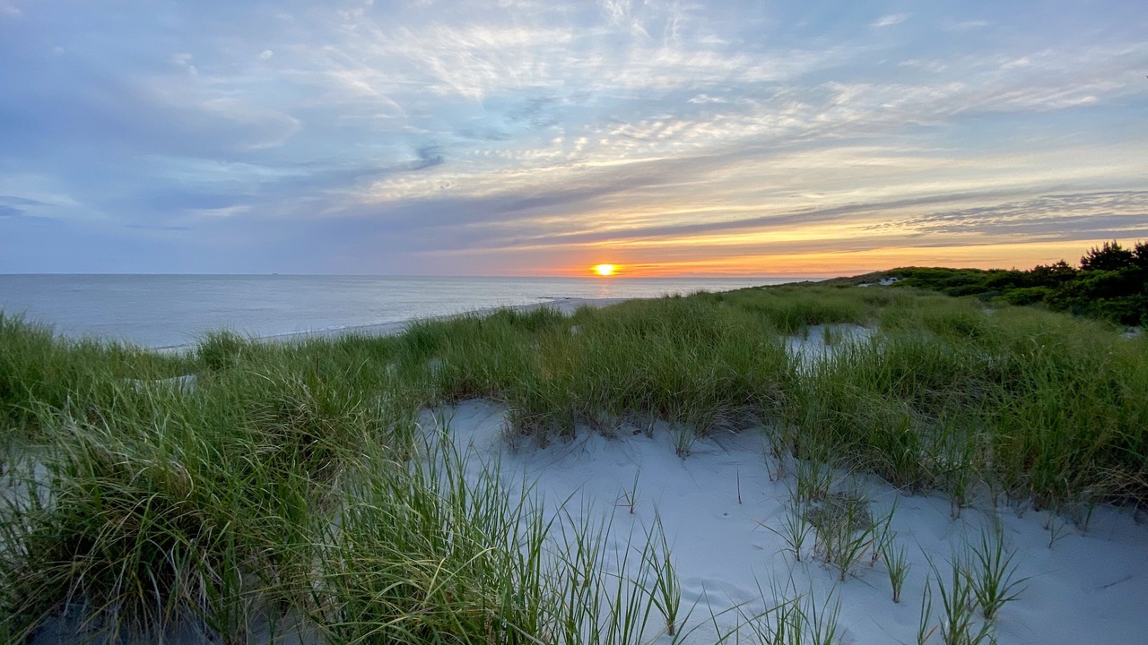 Photo of Others in Cape May Point