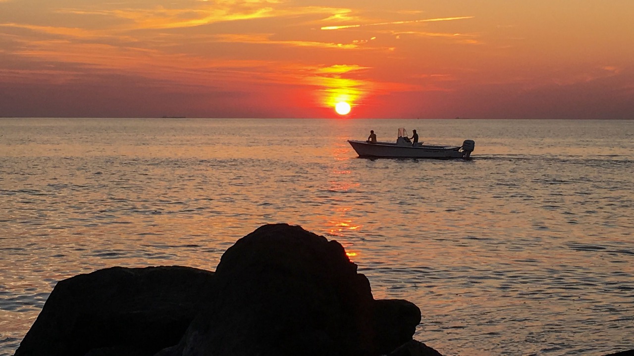 Photo of Others in Cape May Point