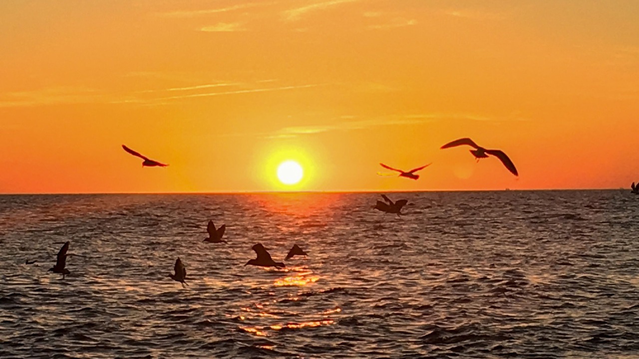 Photo of Others in Cape May Point