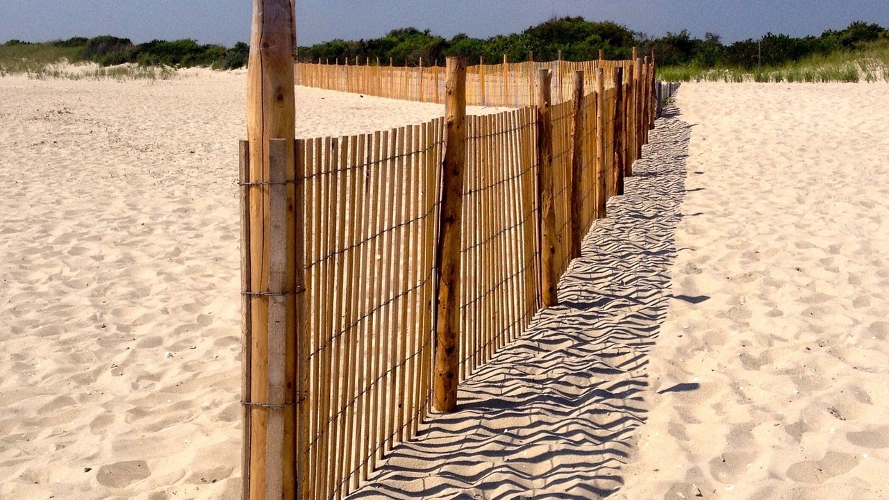 Photo of Others in Cape May Point