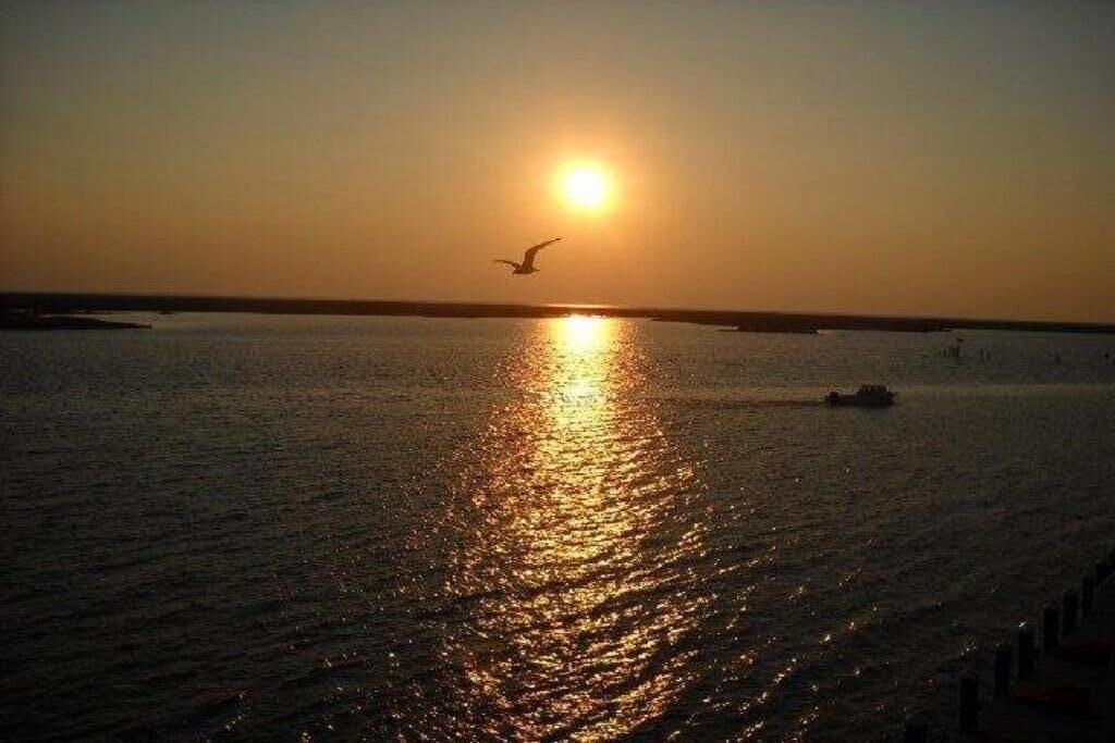 Photo of Others in Crisfield
