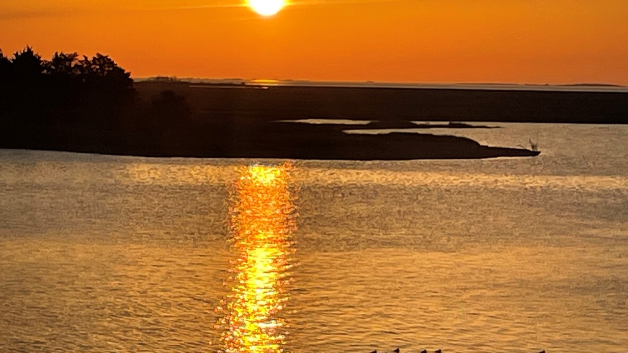 Photo of Others in Crisfield
