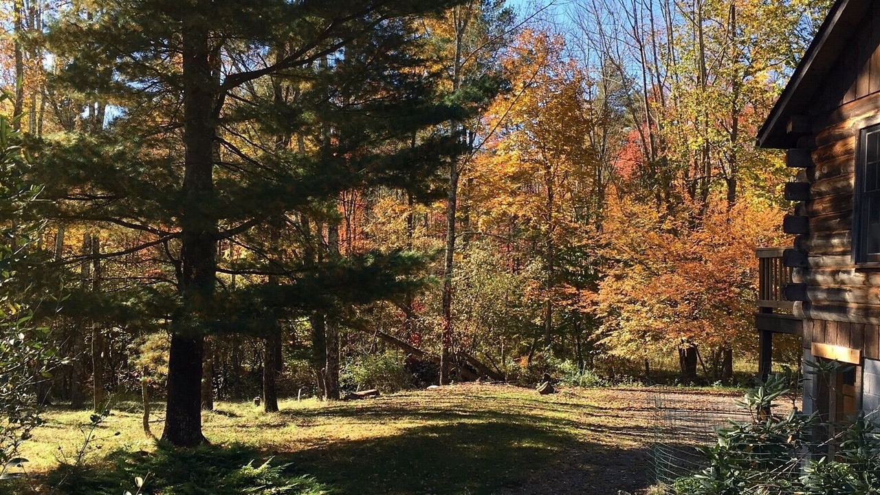 Photo of Outdoor in Samsonville