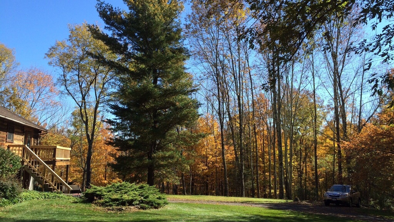 Photo of Outdoor in Samsonville
