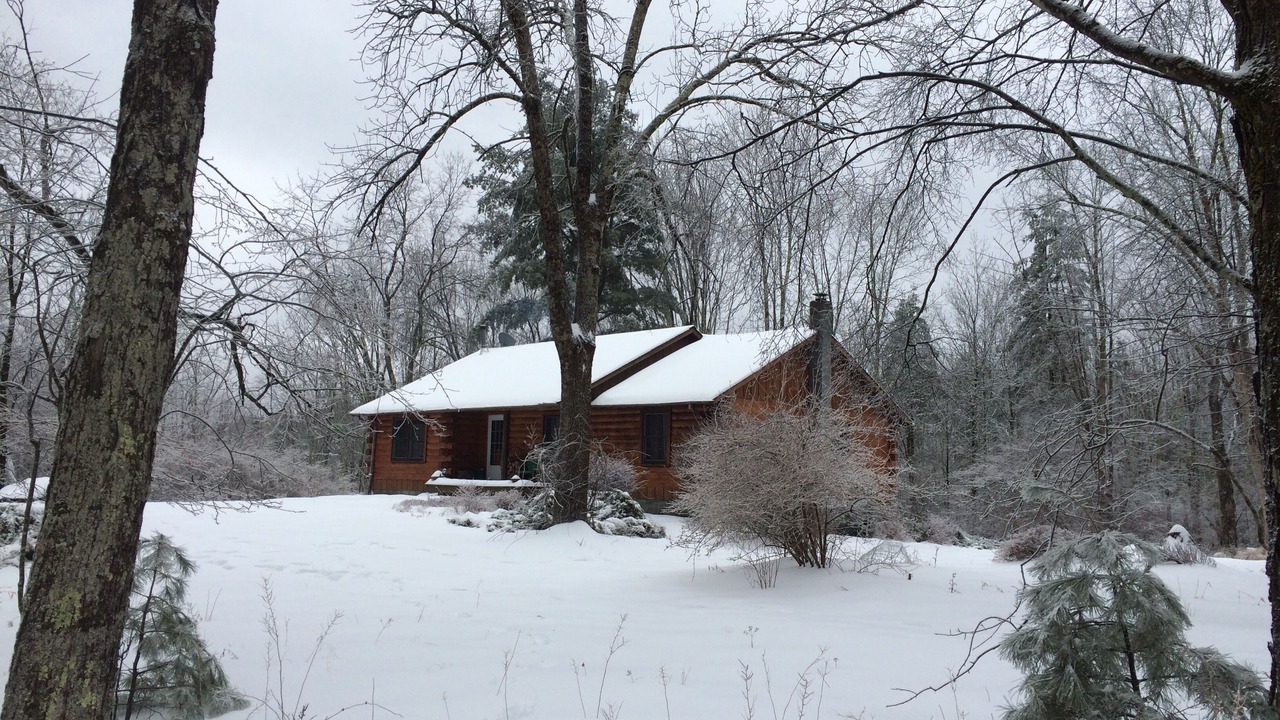 Photo of Outdoor in Samsonville