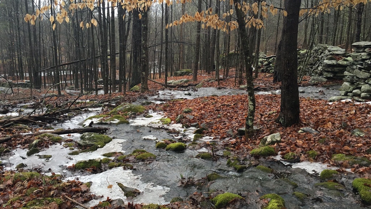 Photo of Outdoor in Samsonville