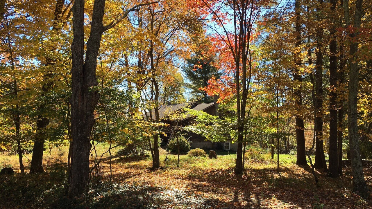 Photo of Outdoor in Samsonville