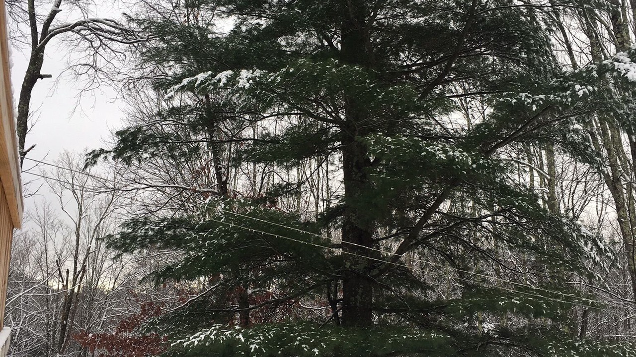Photo of Outdoor in Samsonville