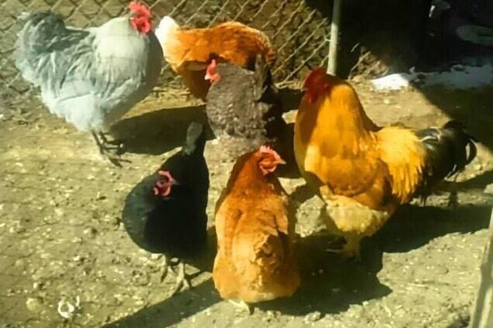 Photo of Others in Kerhonkson