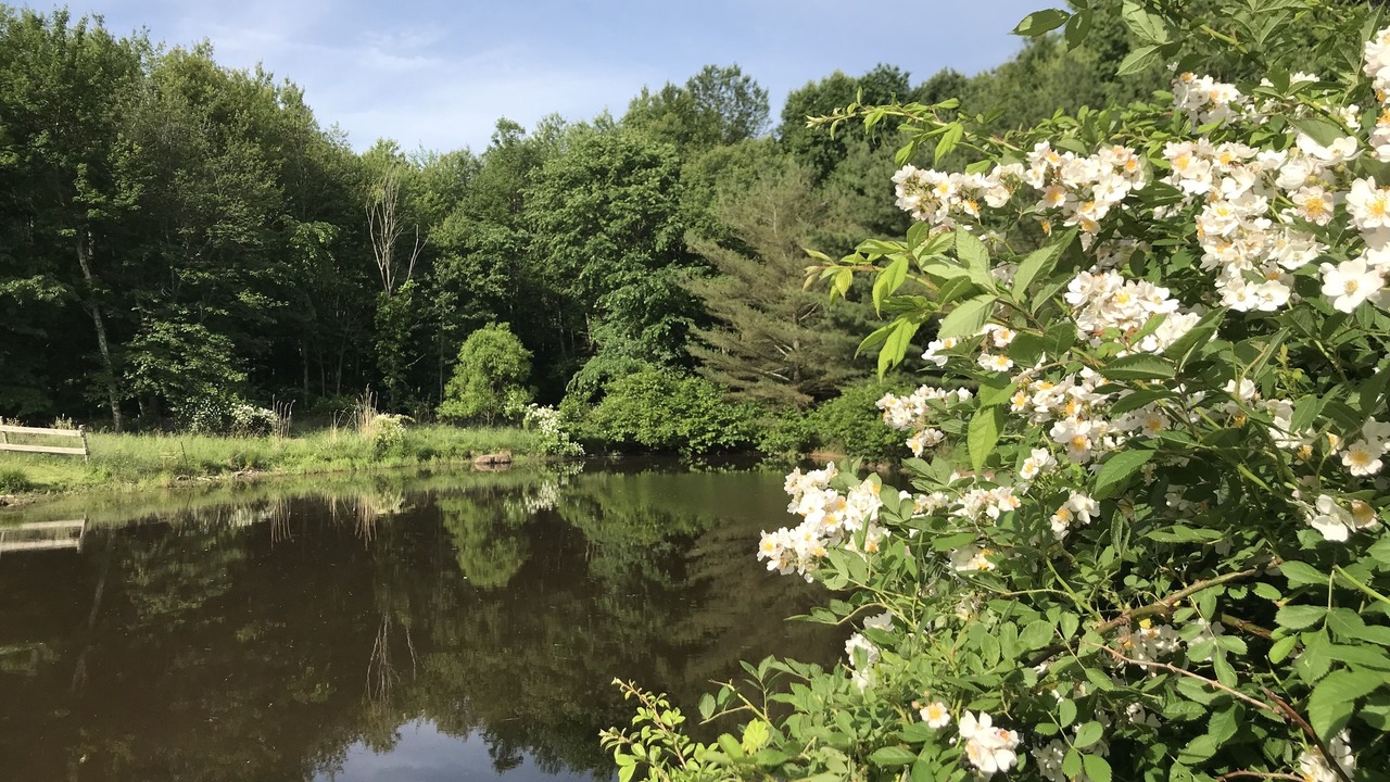 Photo of Outdoor in Wallkill